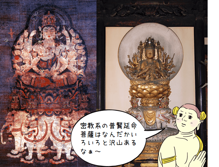 仏像の種類 普賢菩薩のご利益 梵字 真言など 修行がとっても大事だよ と提言する象に乗る仏ゾウ 仏像リンク